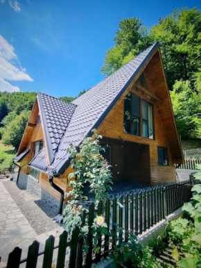 Cabana A Brezoi